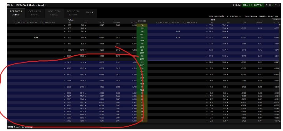 Call ITM opties op de IBKR optieketen
