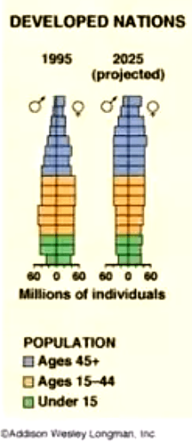 Ontwikkeling bevolkingspyramide ontwikkelde landen