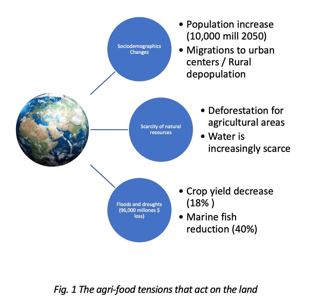 Agrovoedingsstress op het land