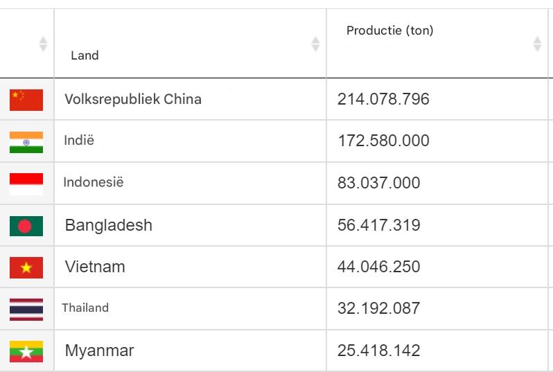 Grote rijstproducenten