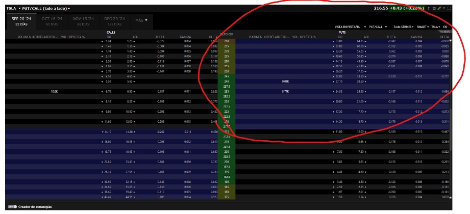 ITM Put opties op de IBKR optieketen