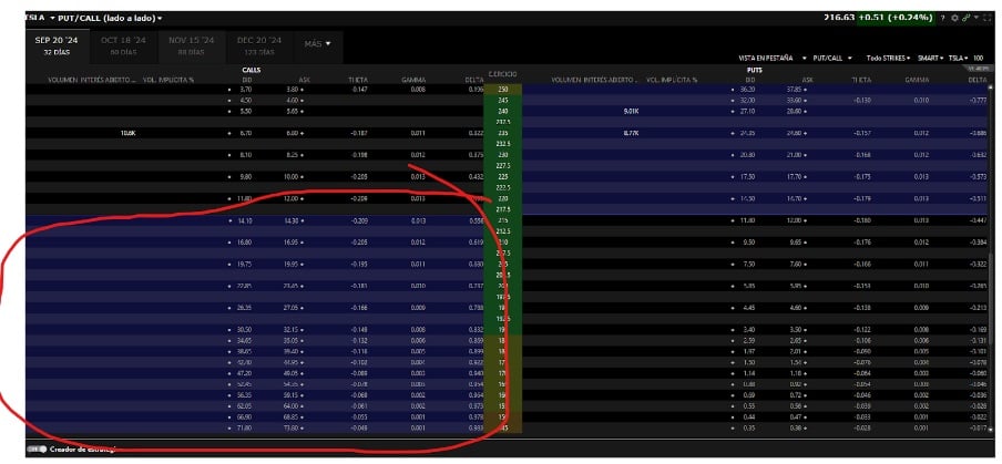 Call ITM opties op de IBKR optieketen
