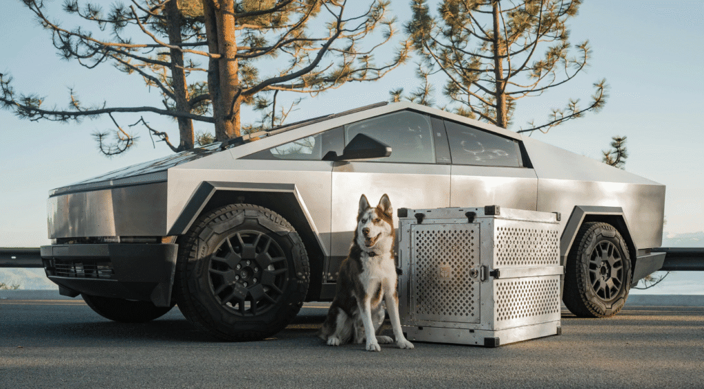 Tesla cybertruck